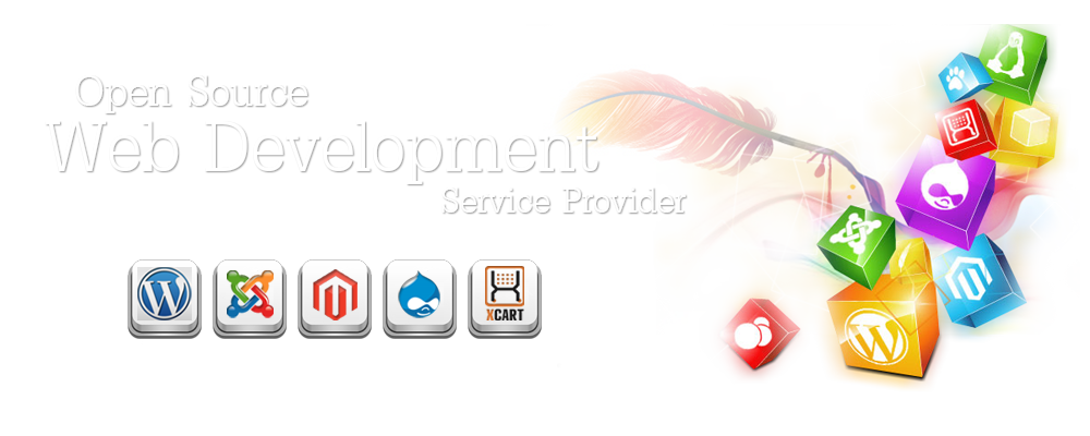 Open Source Web Development Service providers